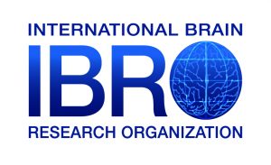 IBRO International Brain Research Organization
